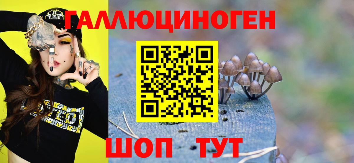 Псилоцибиновые грибы прущие грибы Комсомольск-на-Амуре