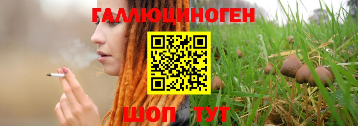 Псилоцибиновые грибы мухоморы  Вход с VPN  Комсомольск-на-Амуре  Псилоцибиновые грибы Magic Shrooms 